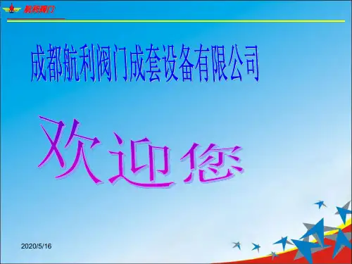 高级阀说明