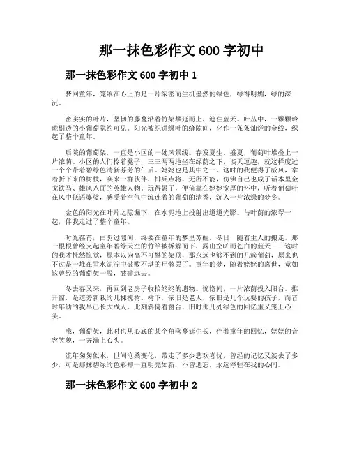 那一抹色彩作文600字初中