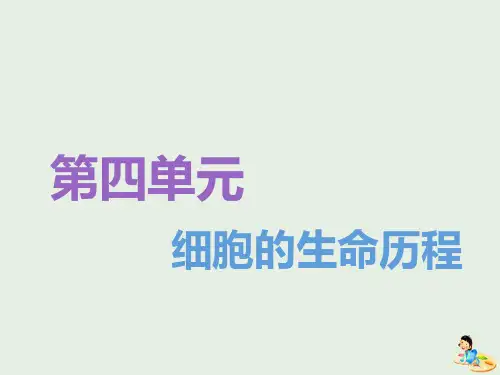 江苏专版高考生物一轮复习第四单元第1讲细胞的增殖课件必修
