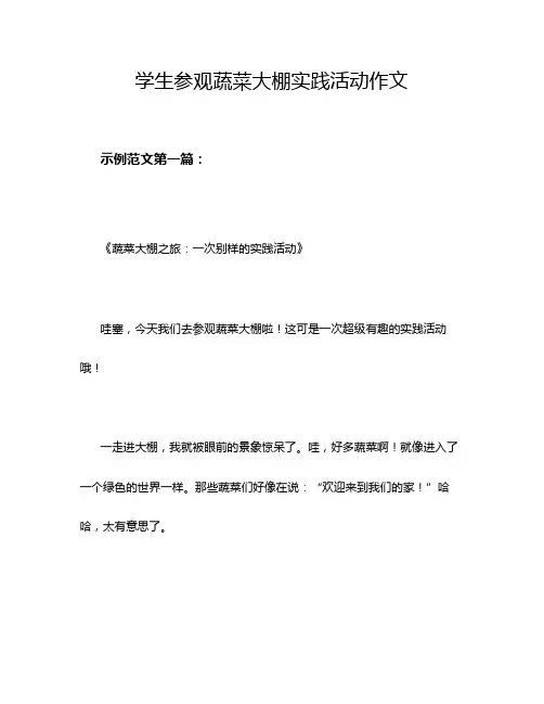学生参观蔬菜大棚实践活动作文