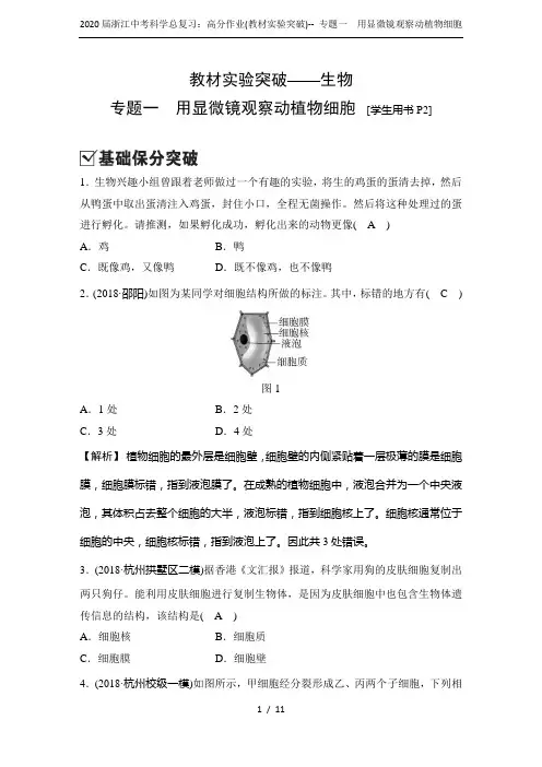 2020届浙江中考科学总复习：高分作业(教材实验突破)-- 专题一 用显微镜观察动植物细胞