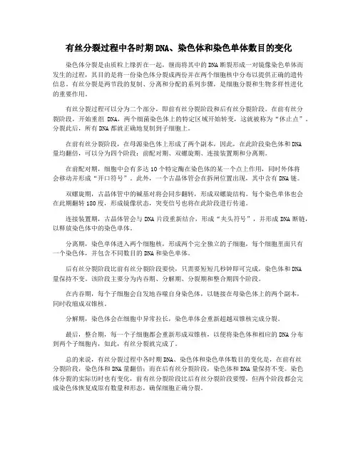 有丝分裂过程中各时期DNA、染色体和染色单体数目的变化