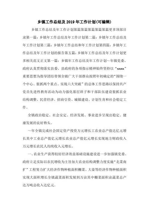 乡镇工作总结及2019年工作计划(可编辑).doc