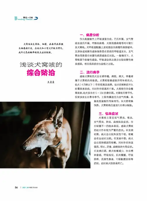 浅谈犬窝咳的综合防治