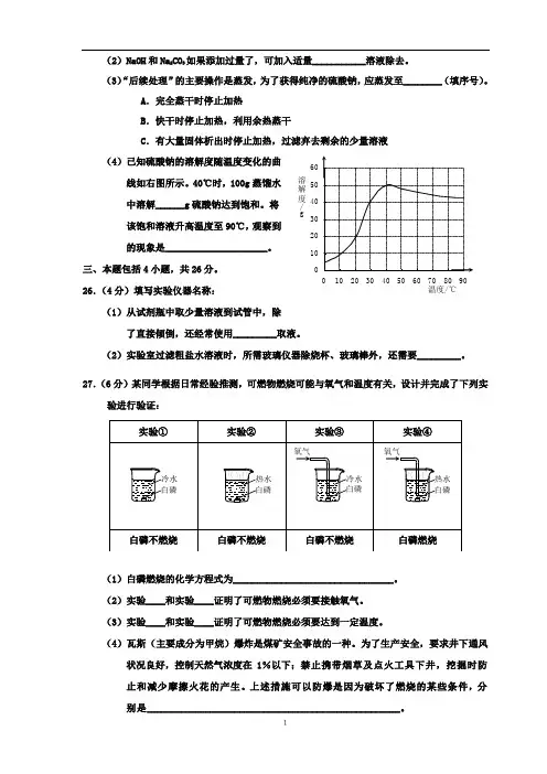 2010年广东中考化学及答案