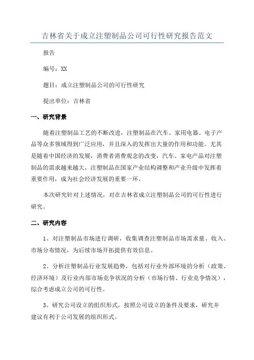 吉林省关于成立注塑制品公司可行性研究报告范文
