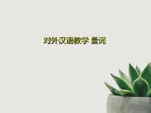 对外汉语教学 量词共82页