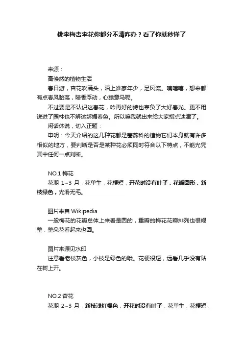 桃李梅杏李花你都分不清咋办？看了你就秒懂了