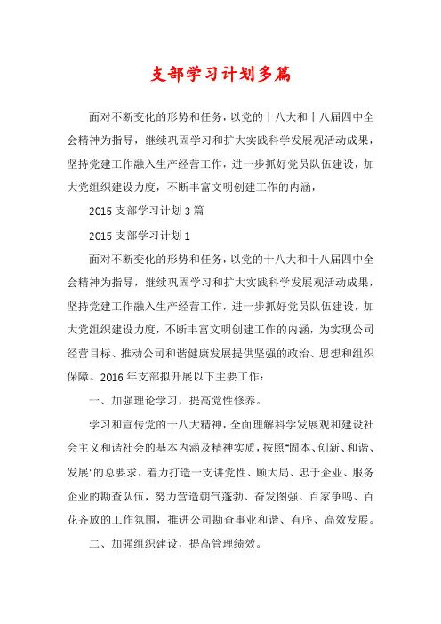 支部学习计划多篇