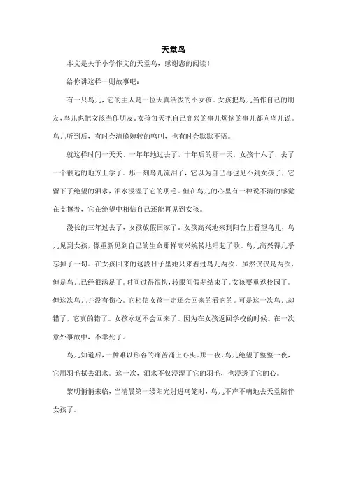 天堂鸟_小学作文
