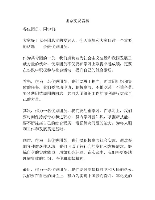 团总支发言稿