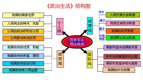 人教版高中政治必修二 人民民主专政：本质是人民当家做主(共16页)