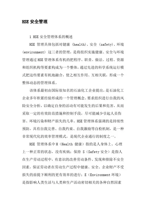 HSE安全管理-精品文档