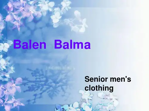服装品牌_PPT(英语)最终版