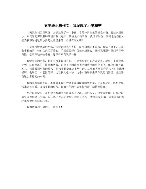 五年级小猫作文：我发现了小猫秘密