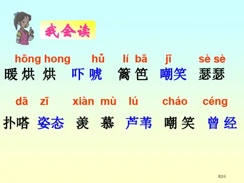 北师大版三年级语文上册丑小鸭公开课ppt课件市公开课一等奖省优质课获奖课件