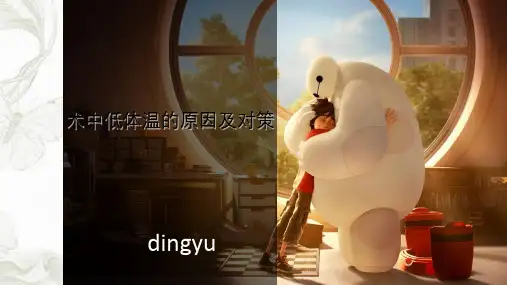 手术室低体温ppt课件