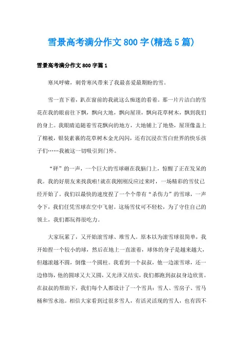 雪景高考满分作文800字(精选5篇)
