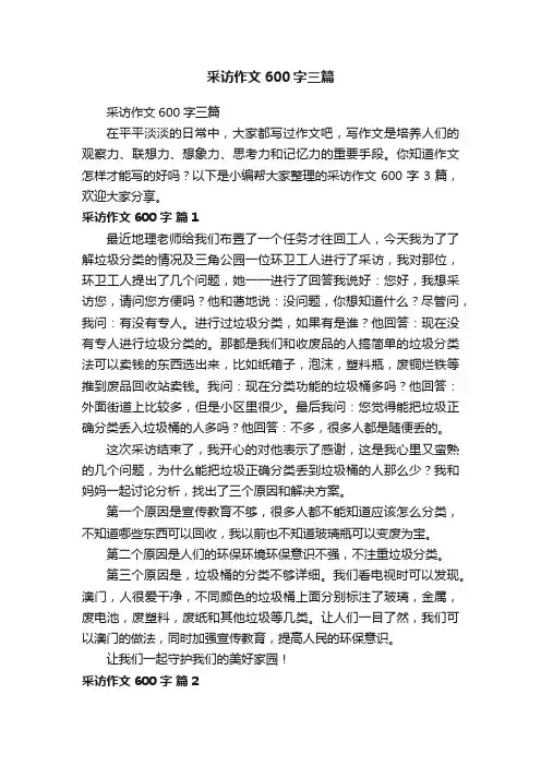 采访作文600字三篇