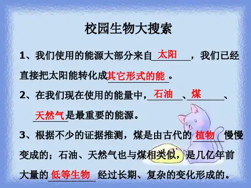 《能量与太阳》教科版小学科学六年级上册第三单元