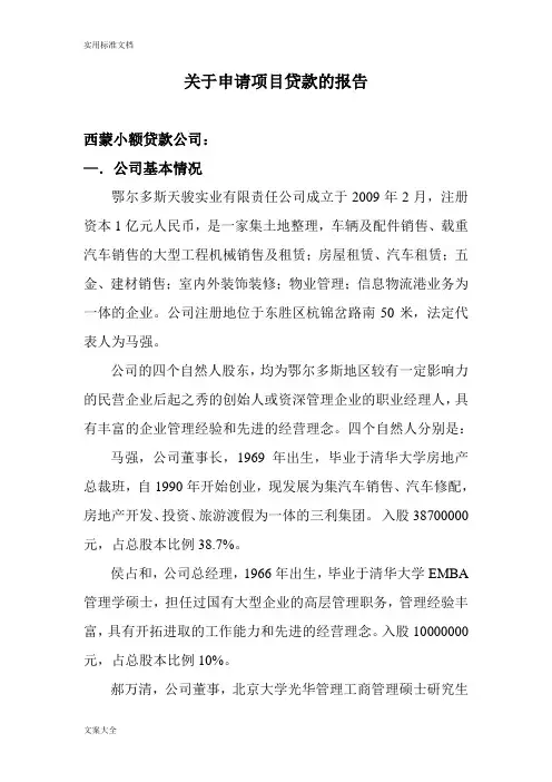 西蒙小额贷款公司管理系统关于某申请项目贷款地报告材料