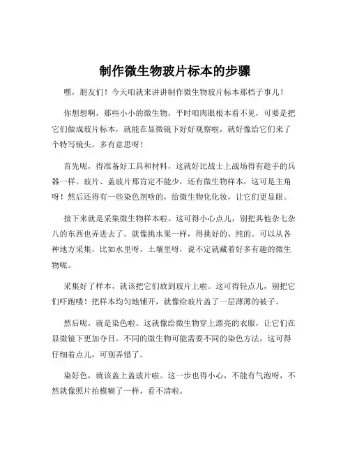 制作微生物玻片标本的步骤