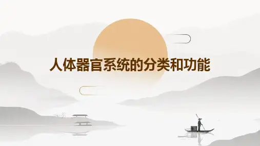 人体器官系统的分类和功能