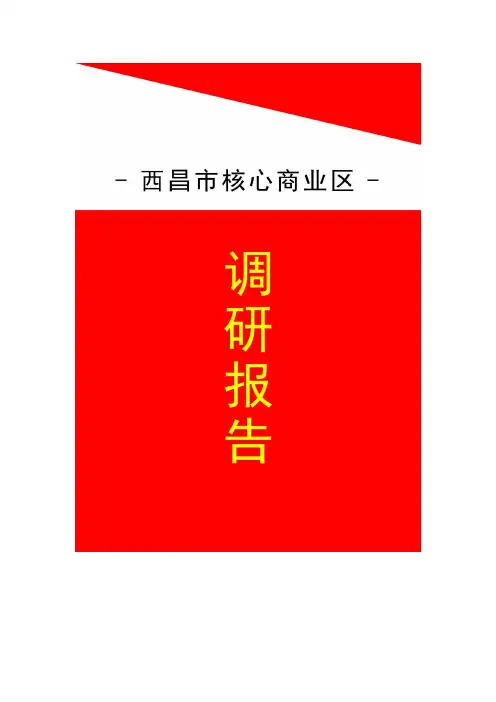 西昌核心商业区调研报告 (2)