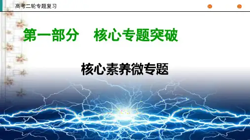 2020高考物理二轮专题复习课标通用版 课件 专题6 物理实验第1部分 微专题5 