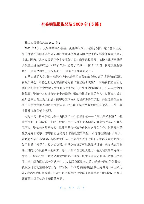 社会实践报告总结3000字(5篇)