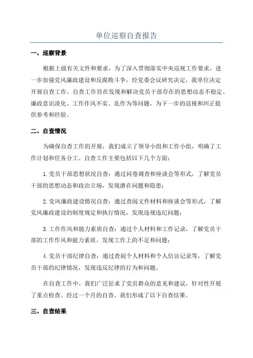 单位巡察自查报告