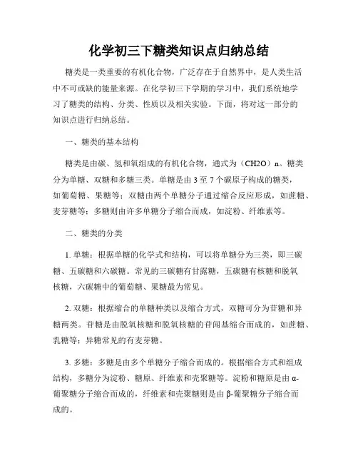 化学初三下糖类知识点归纳总结