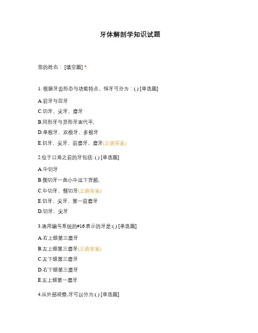牙体解剖学知识试题