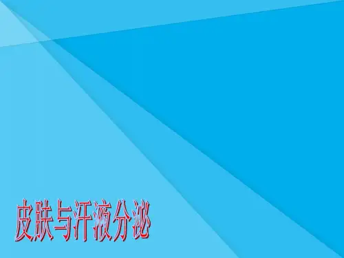 皮肤与汗液分泌PPT课件 北师大版优秀课件