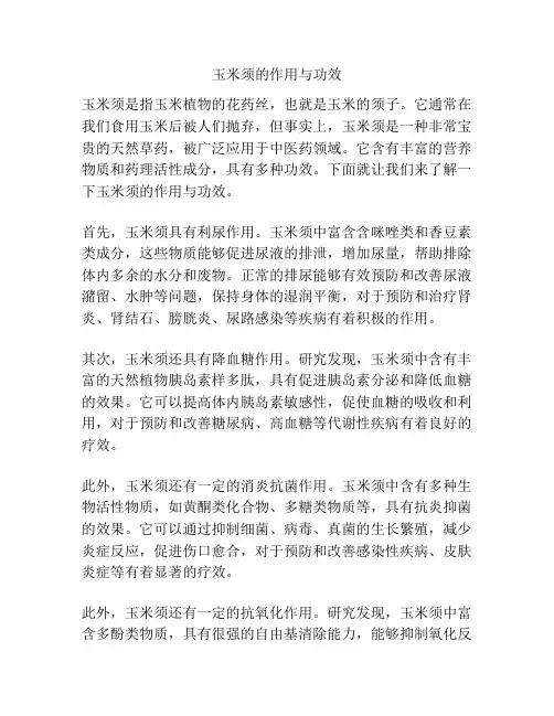 玉米须的作用与功效