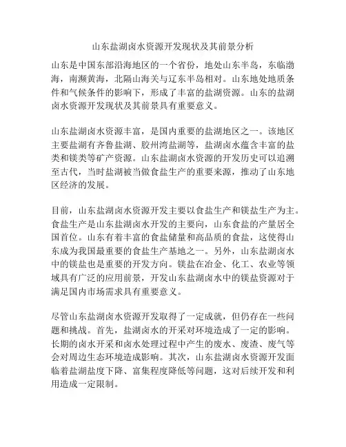 山东盐湖卤水资源开发现状及其前景分析