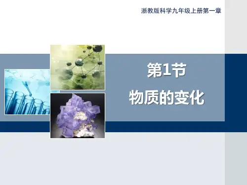 浙教版九年级科学上册 (物质的变化)教学课件