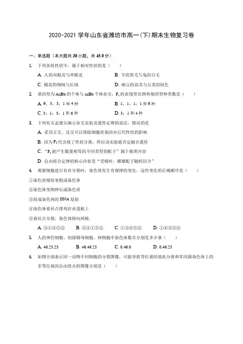 2020-2021学年山东省潍坊市高一(下)期末生物复习卷(含答案解析)