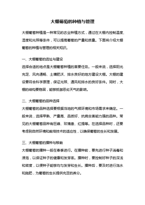大棚葡萄的种植与管理