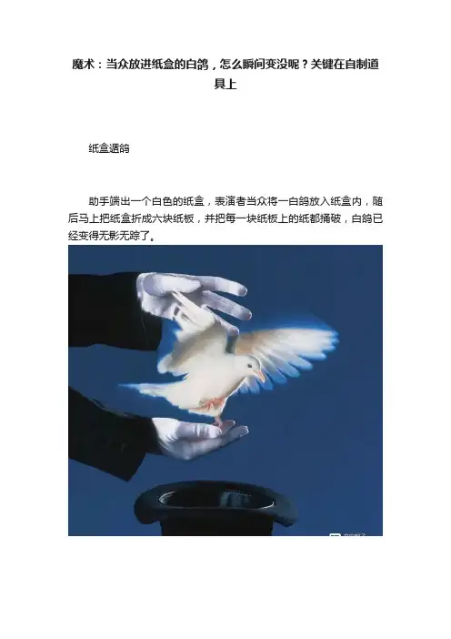 魔术：当众放进纸盒的白鸽，怎么瞬间变没呢？关键在自制道具上