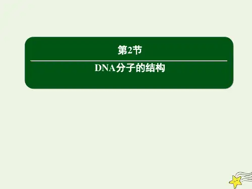 2020_2021学年高中生物第3章基因的本质2DNA分子的结构课件新人教版必修2