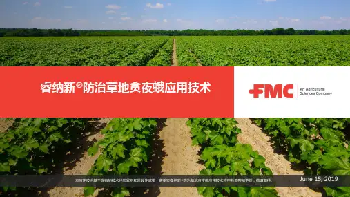 康宽防治草地贪夜蛾应用技术