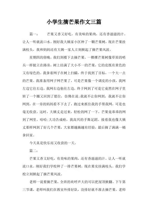 小学生摘芒果作文三篇