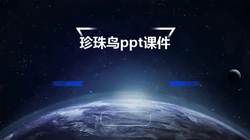 珍珠鸟ppt课件