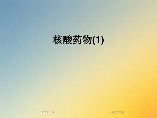 核酸药物(1)