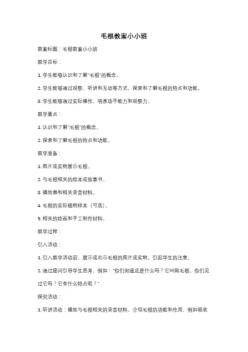 毛根教案小小班