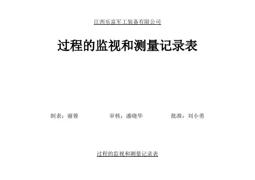 过程的监视和测量记录表