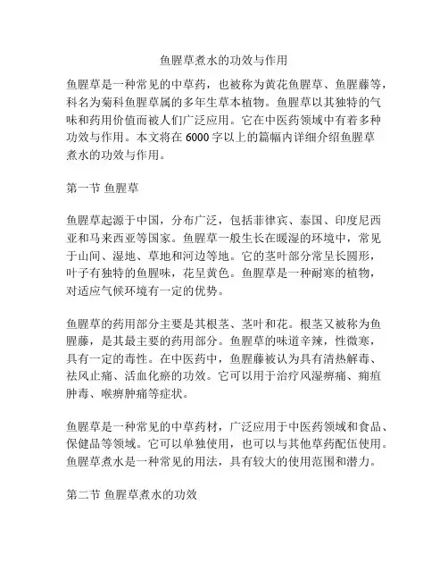 鱼腥草煮水的功效与作用