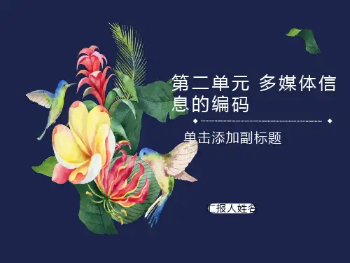 多媒体技术应用第二单元多媒体信息的编码第一节课
