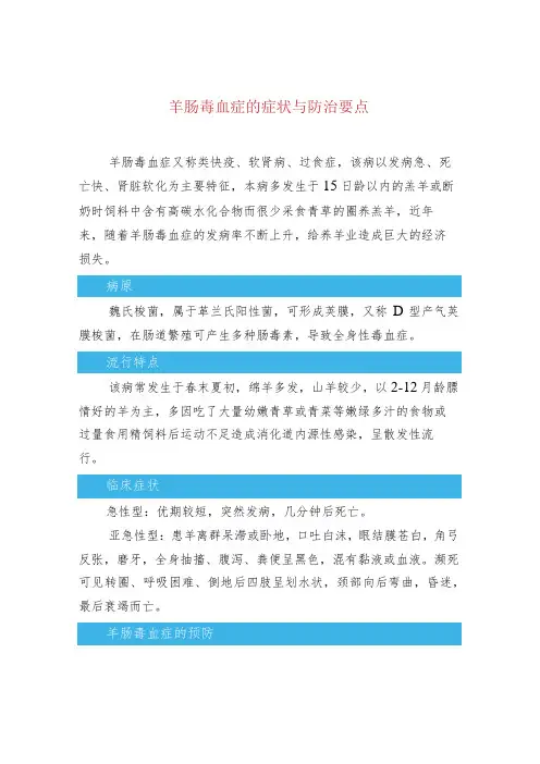 羊肠毒血症的症状与防治要点